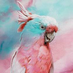 Bugzy Pink Cockatoo